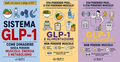 GLP-1 PERFORMANCE SYSTEM